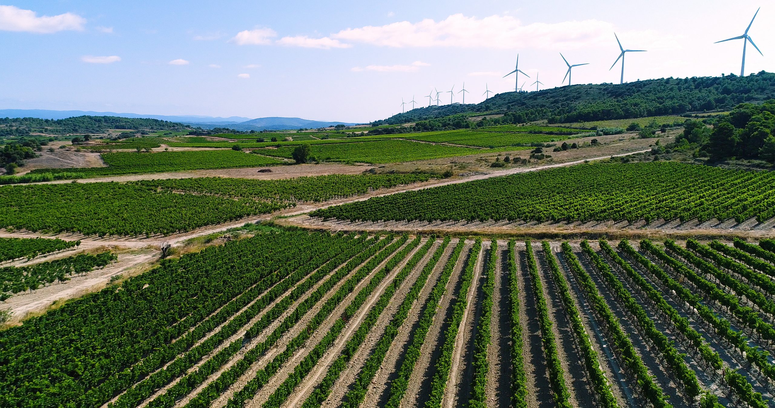 Desafios e novas obrigatoriedades do Produtor Rural em 2025